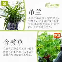春节养花有讲究,这些绿植最好放一盆在家里