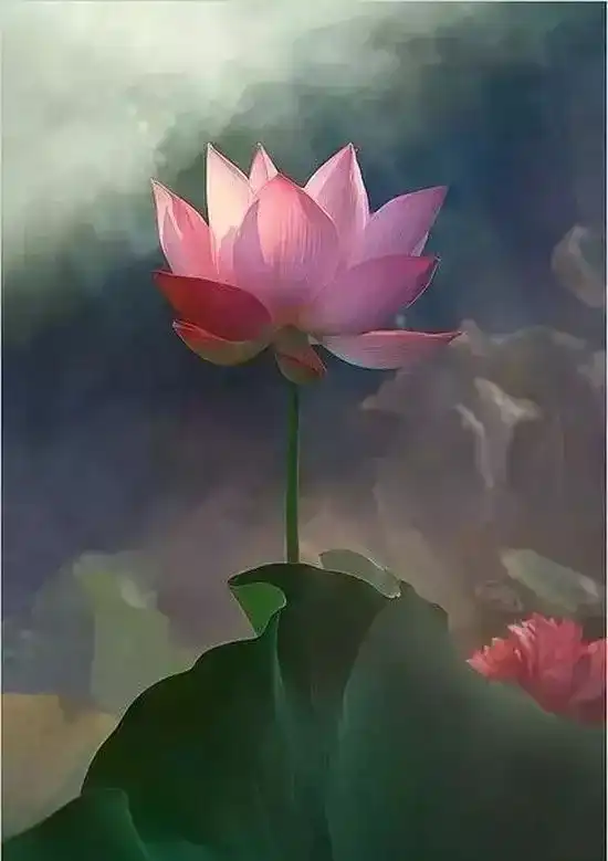 送一曲禅乐,愿你心似莲花