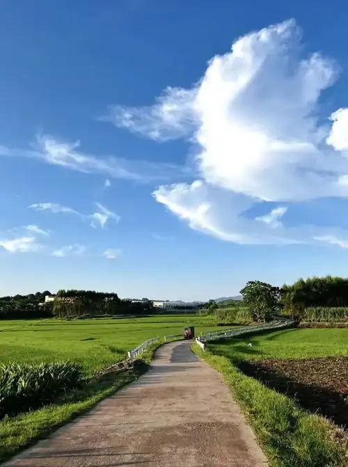 与自然的亲密接触,让人无法拒绝,让人沉浸其中小溪溪水山谷水声大自然网易订阅