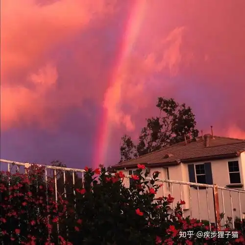 那些你没见过的音乐热评