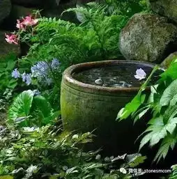 石材水景皆禅意,一览便知晓