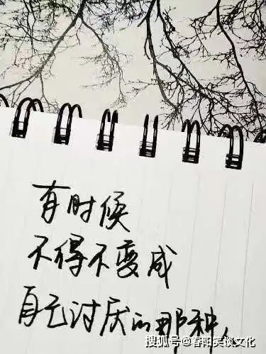 2021超经典的人生感悟,让你受益匪浅,值得分享