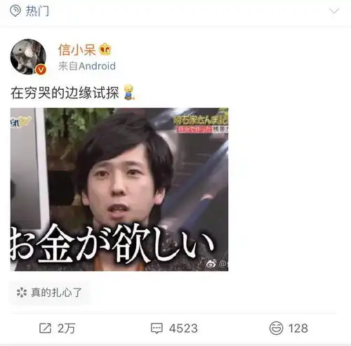 支付宝否认锦鲤内定,信小呆凭什么c位出道