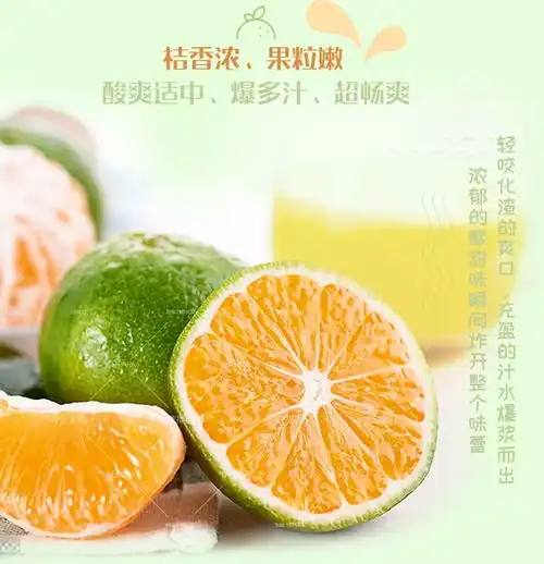 新鲜橘子水果蜜桔薄皮青桔子蜜橘批发非小金桔云南湖北等多仓发货