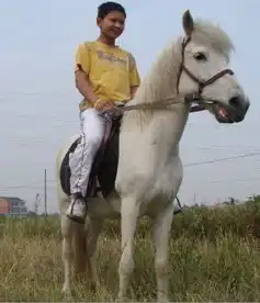 常州爱马乐园玩马qq349261240