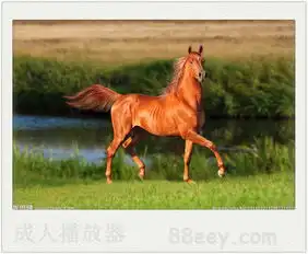 有没真爱找麻烦度盘资源,分享一下,谢谢