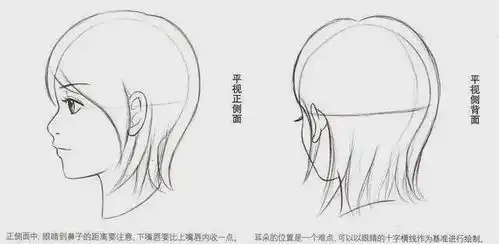 动漫人物脸部不同角度怎么画