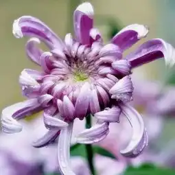 我在原地等着你的美拍