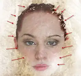 photoshop打造抽象的艺术树叶头像