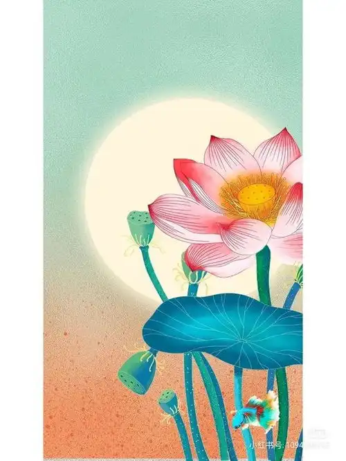 清凉夏季唯美荷花主题