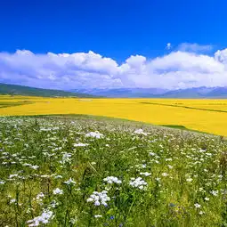 在阳光灿烂的日子,我始终露出最灿烂的微笑