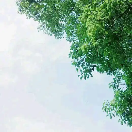 测试一个超长简介的文章