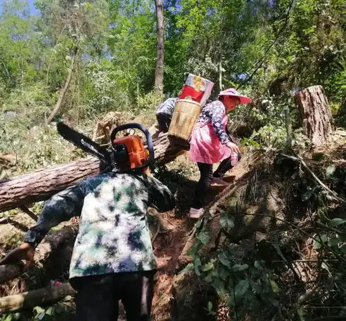 屏山县中都镇发生森林火灾,无人员伤亡,明火已扑灭