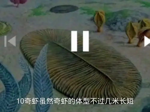 奇闻异事之海洋十大霸主