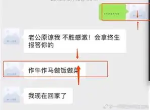 薛之谦聊天记录p图造假网友晒出这些细节分析