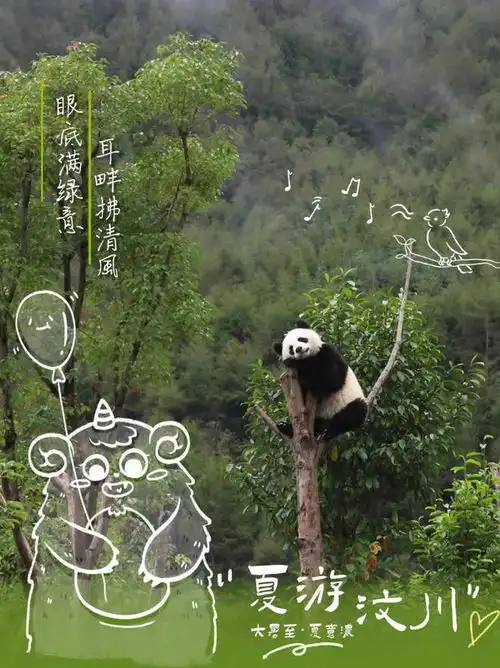大暑至夏正浓绿意盎然,是汶川的夏日封面