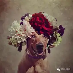狗狗认真打扮起来,高贵的气质连皇室成员都怕