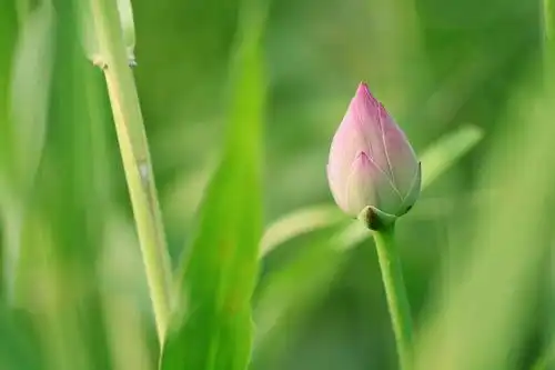大暑此时情绪此时天,无事小神仙伤人最深的永远是这两个字
