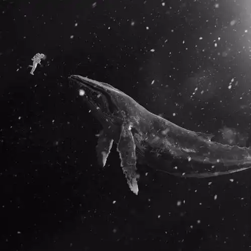 测试一个超长简介的文章