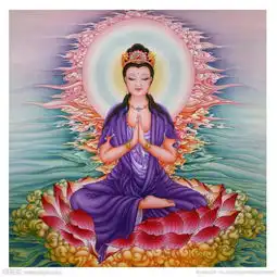 佛教知识为什么佛菩萨要坐在莲花上,你知道吗