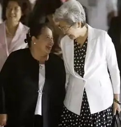 前副外长傅莹这才是退休该有的人生不愧是中国最高雅的女人