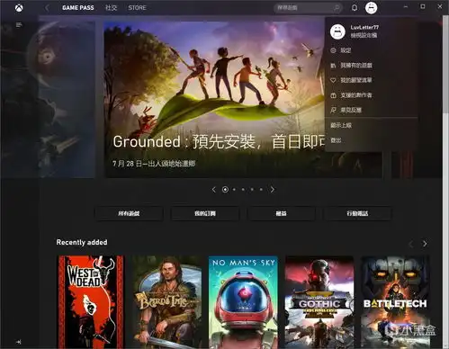 盗贼之海标准版一个月试玩方法推荐