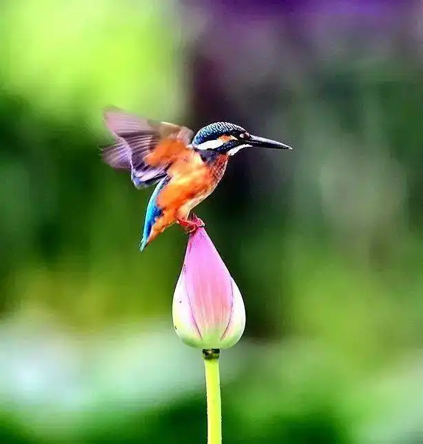 测试一个超长简介的文章