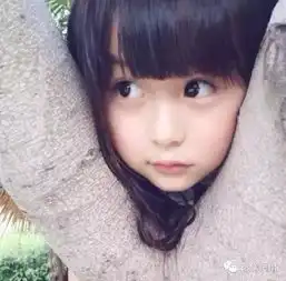最全小芈月照片合集50张,二胎最梦想