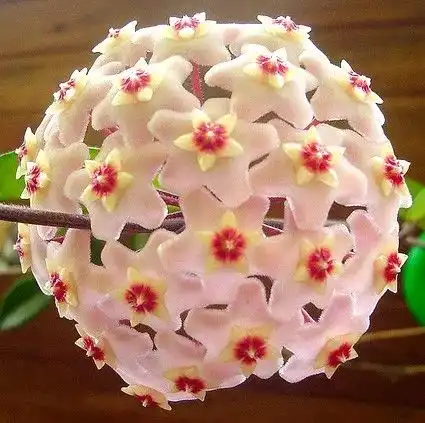 群相册