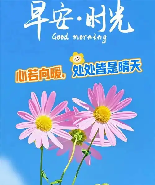 19句很有力量的励志正能量句子,一句顶十句,句句暖心治愈