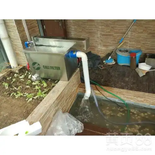 长春私家庭院水处理哪家强卡利净鱼池过滤器-黄页88网