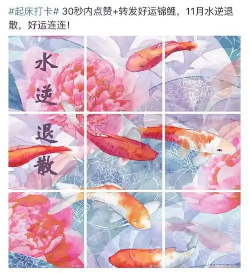 焦作油腻青年大测评你是第几级