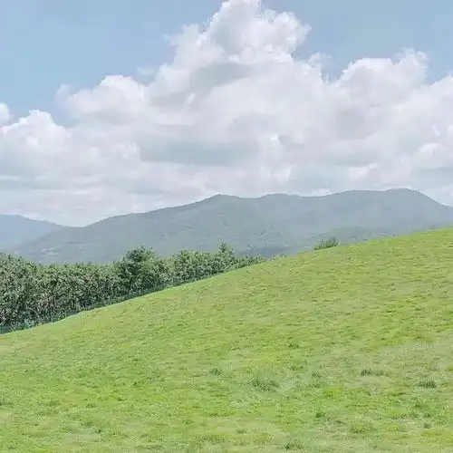 这些备注好特别给喜欢的人安排上