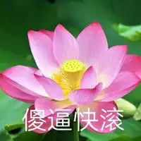 最漂亮的莲花头像图片全部带字送给朋友圈的好友们