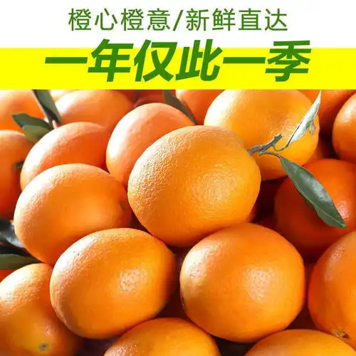 棒球女孩1点击头像看全集