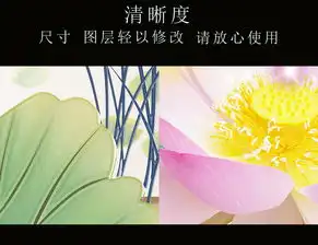 3d花开富贵荷花图背景墙图片设计素材高清psd模板下载85.20mb3d电视背景墙大全
