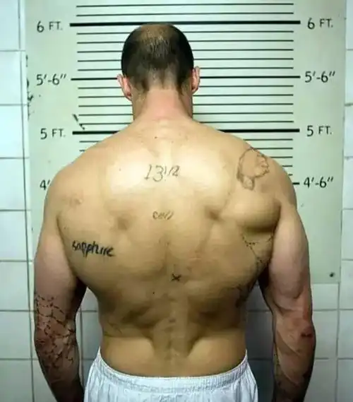 杰森斯坦森的背部肌肉,需要多长时间才能练成