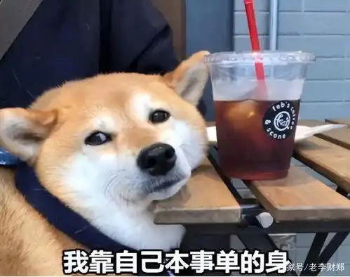 干柴烈火的年龄,2.6亿人毅然选择单身婚姻已成一桩生意