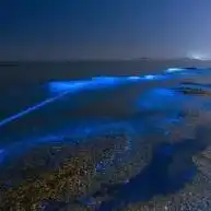大连荧光海滩