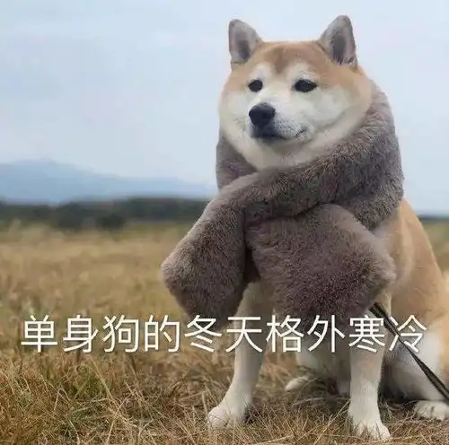 刚刚宣布,北京单身七夕领对象啦