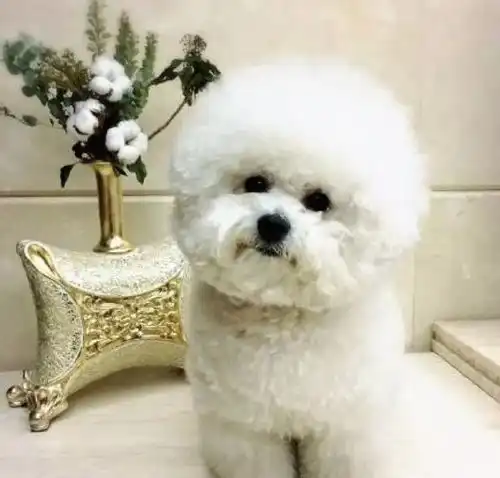 测试一个超长简介的文章