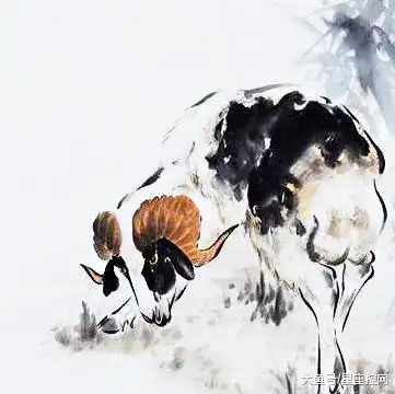 看相的说3个生肖命中有旺财格局,下半辈子不挨穷