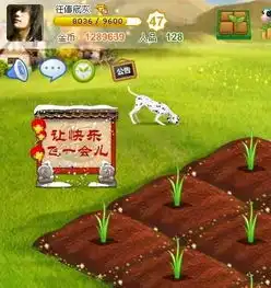 游戏人生的等级怎么升啊玩农牧场的加下我啊