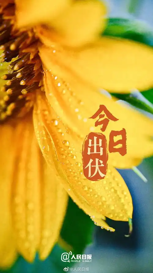 文化中国出伏撞七夕,可别被我们的冷知识冷到了