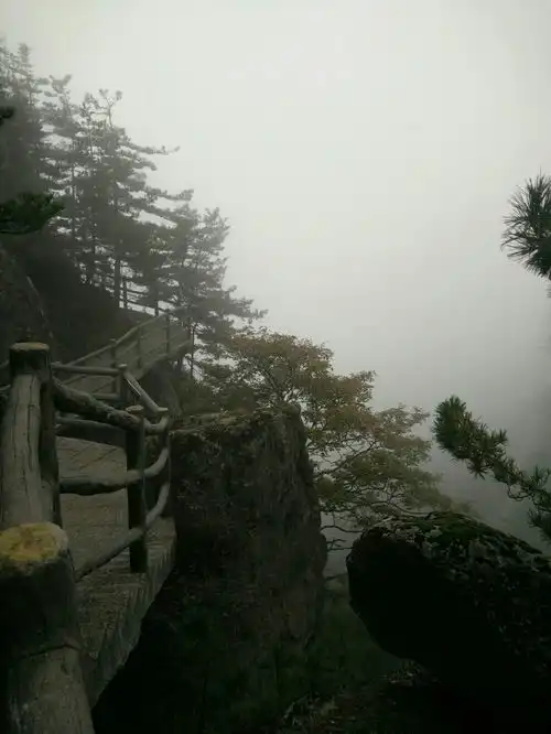 让人流连忘返的老君山,不仅风景如画,还是国家aaaaa级风景区