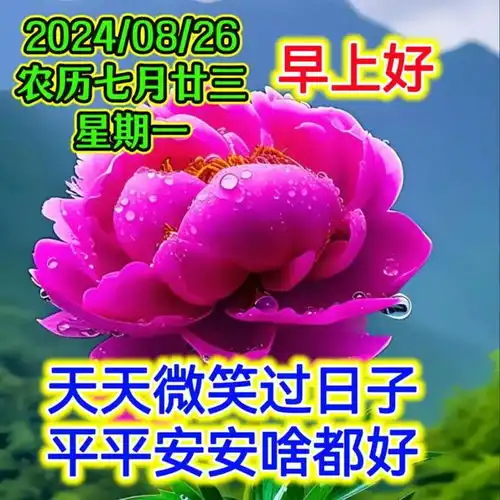 2024年8月26日星期一秋天早安祝福图片,落叶知秋,愿你入秋心情清凉,事业火热,健康平安网易订阅