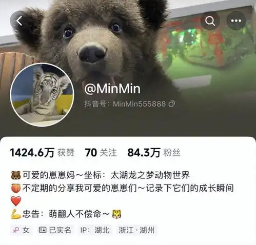 湖州95后女生的工作是带薪撸小老虎,网友太好玩了