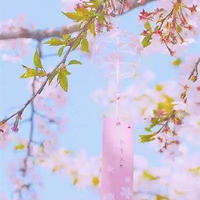 抠逼在线观看