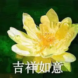 老年人头像,似水流年宁静致远,网友果然是老年人品位