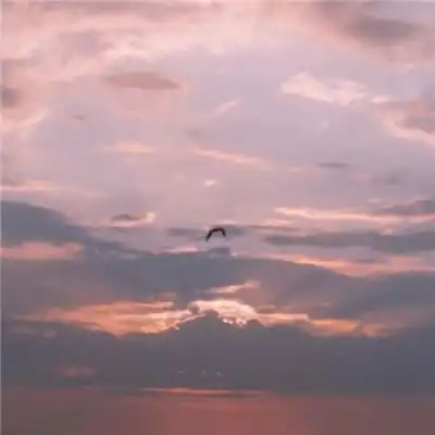 测试一个超长简介的文章